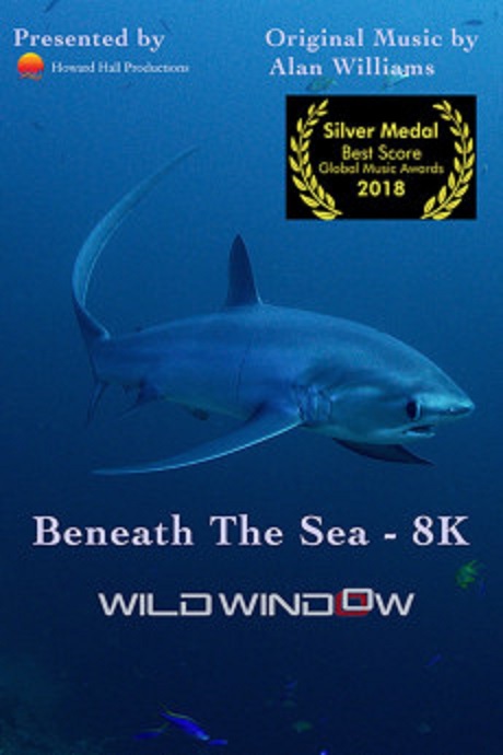 Wild Window: Beneath the Sea (2018) постер