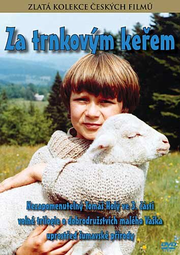 За кустами терновника (1982) постер