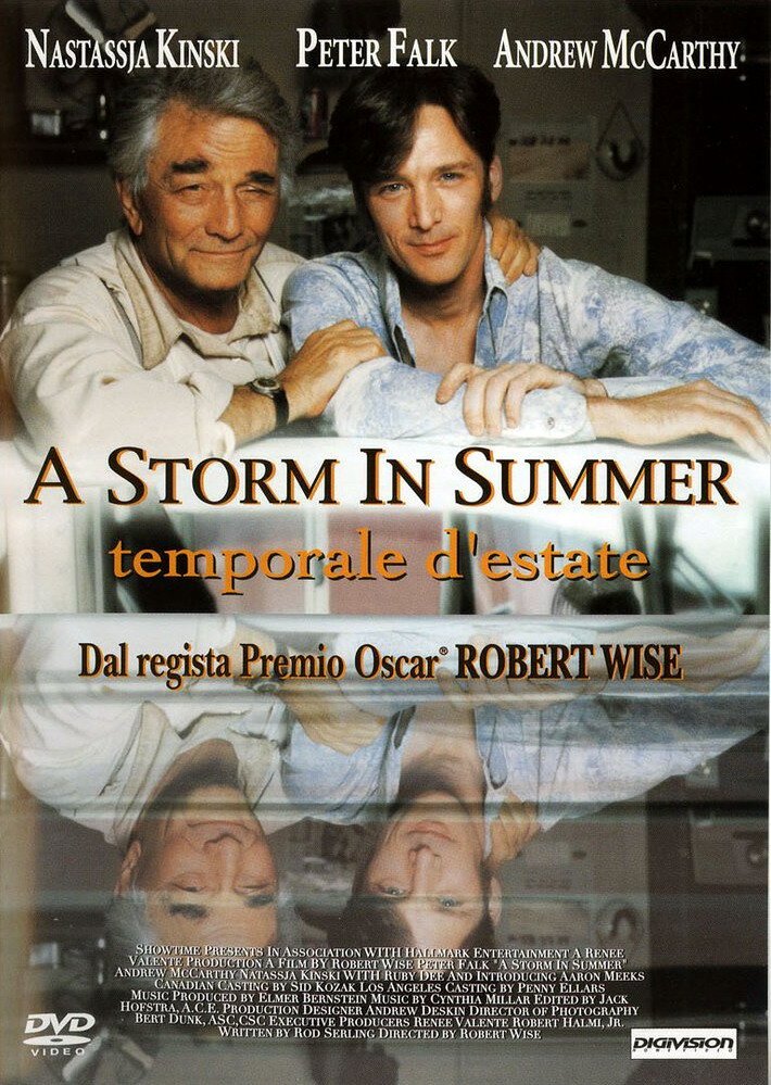 Летний шторм (2000) постер
