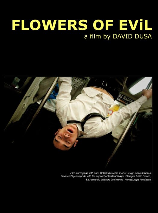 Цветы зла (2010) постер