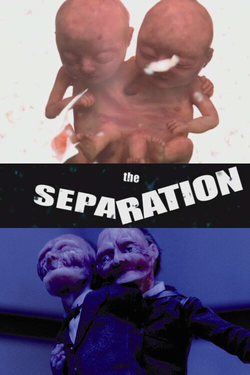 Разделение (2003) постер