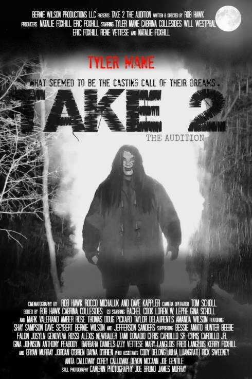 Take 2: The Audition (2015) постер