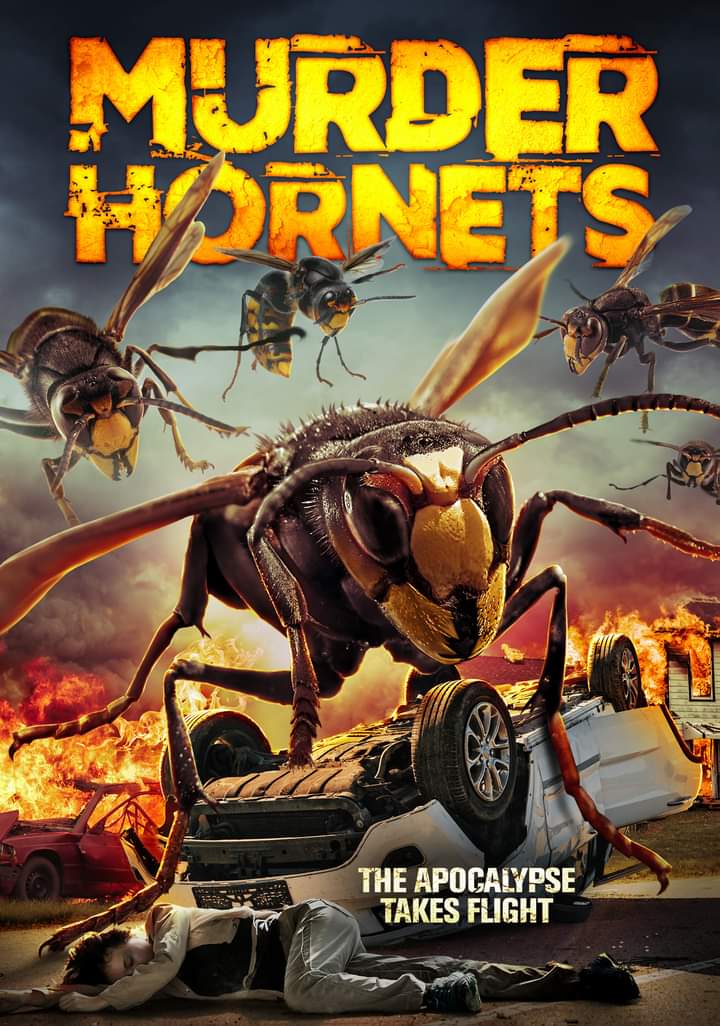 Angry Asian Murder Hornets (2020) постер