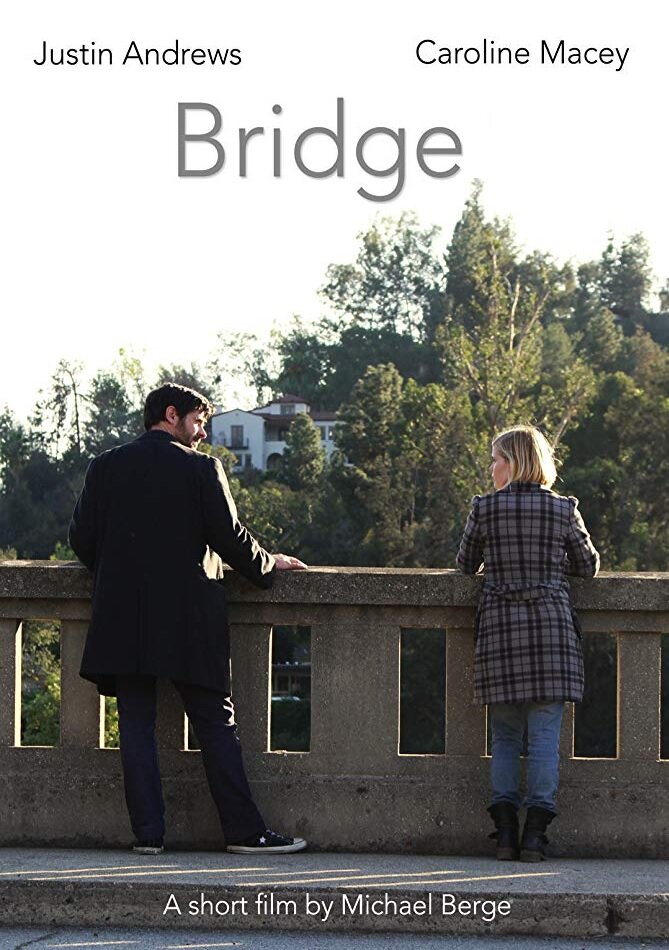 Bridge (2014) постер