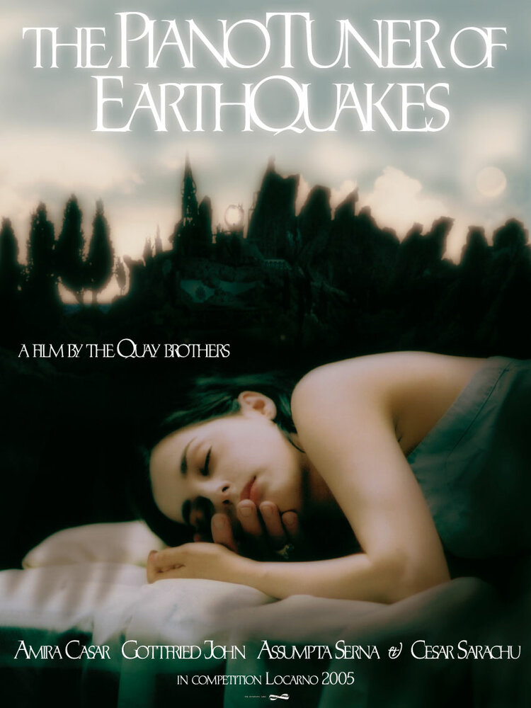 Настройщик землетрясений (2005) постер