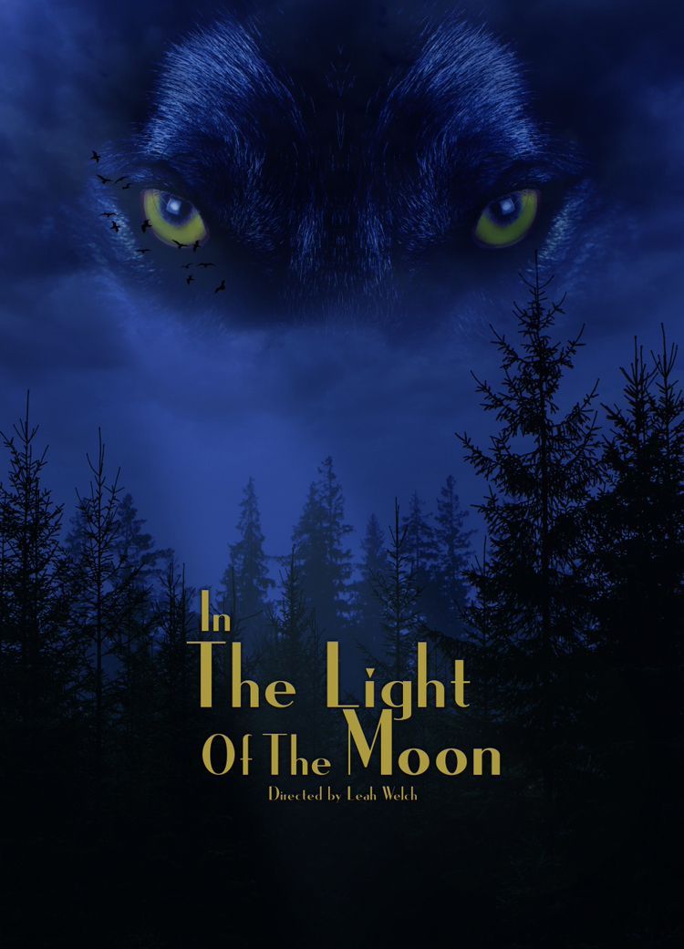 In the Light of the Moon (2021) постер