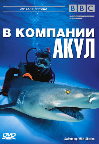BBC: В компании акул (2002) постер