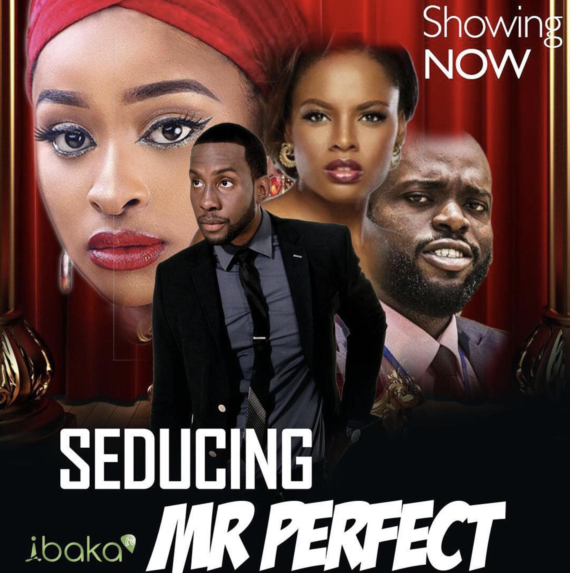 Seducing Mr. Perfect (2019) постер