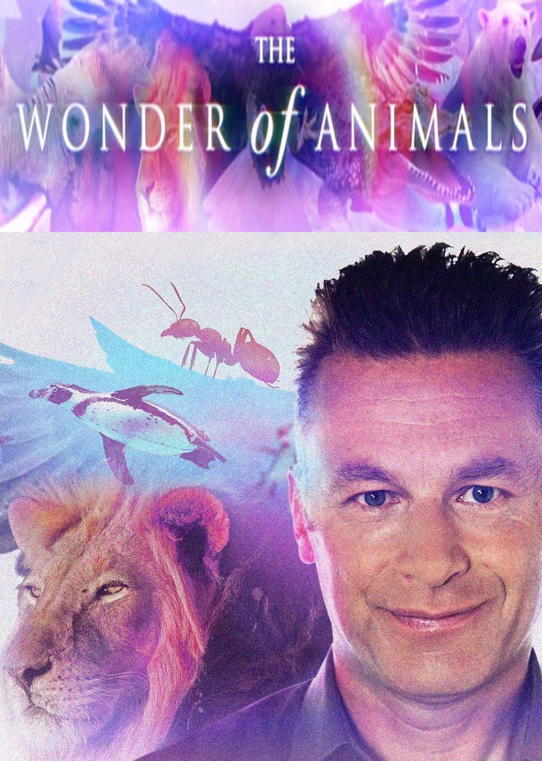 BBC. Чудеса животного мира (2014) постер