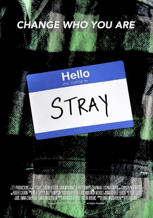 Stray (2015) постер