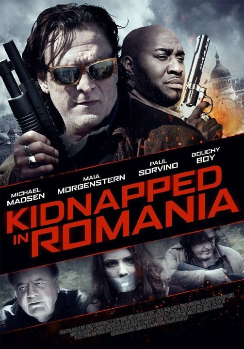 Похищение в Румынии (2016) постер