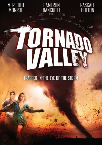 Долина Твистер (2009) постер