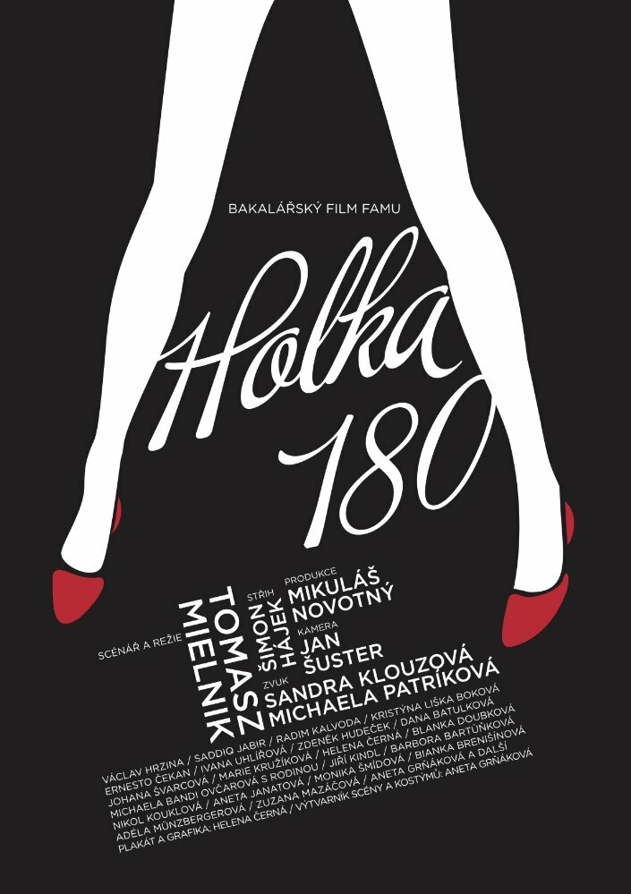 Holka 180 (2010) постер