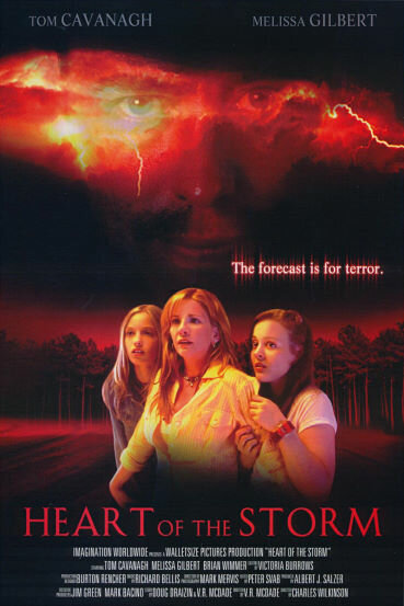 Страшнее шторма (2004) постер