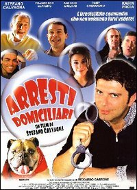 Домашние аресты (2000) постер