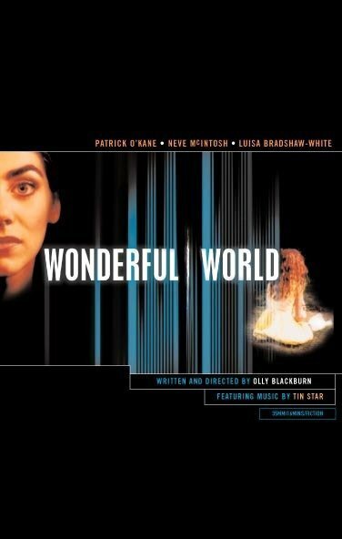 Wonderful World (1998) постер