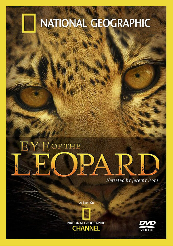 Глазами леопарда (2006) постер