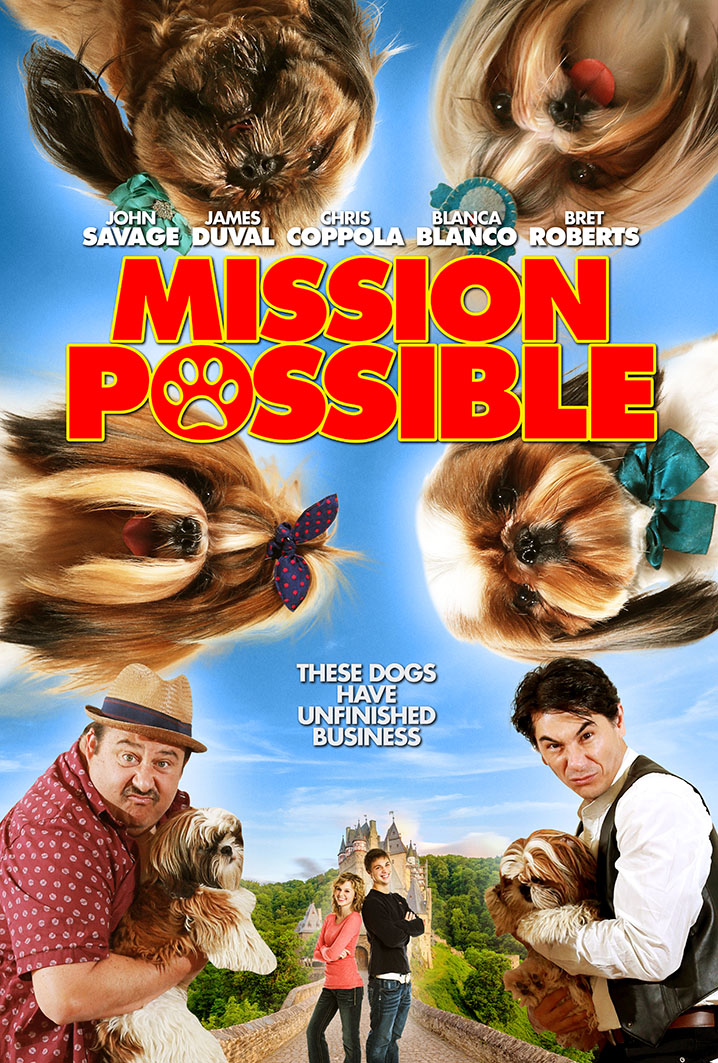 Mission Possible (2018) постер