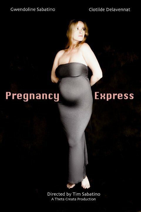 Pregnancy Express (2014) постер