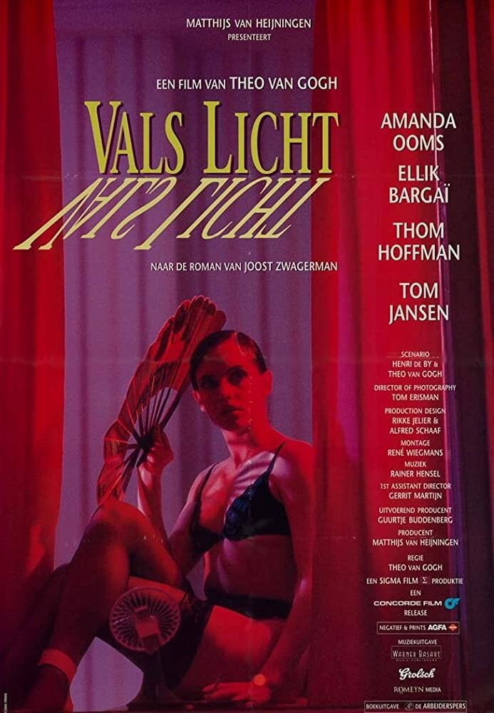Обманчивый свет (1993) постер