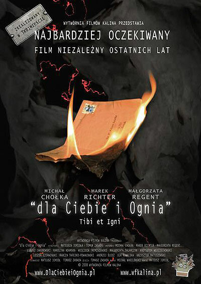Тебе и огню (2008) постер