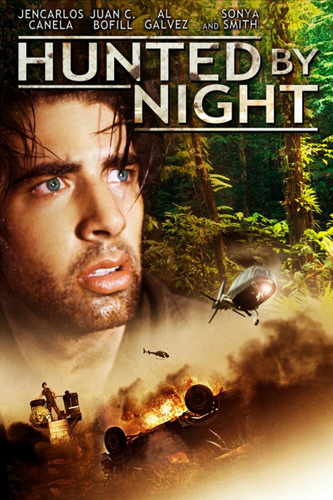 Ночной охотник (2010) постер