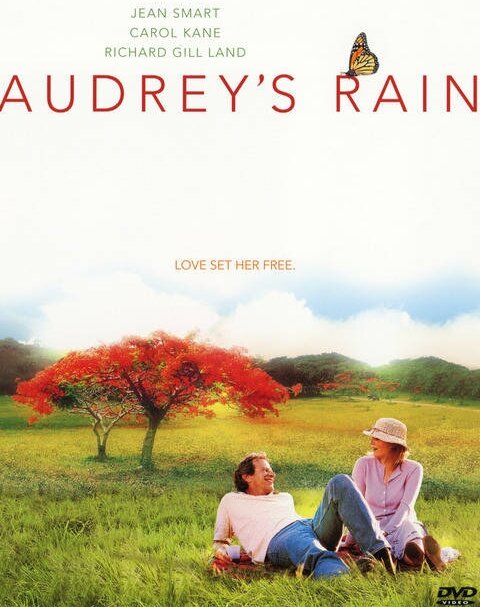 Одри и её дождь (2003) постер
