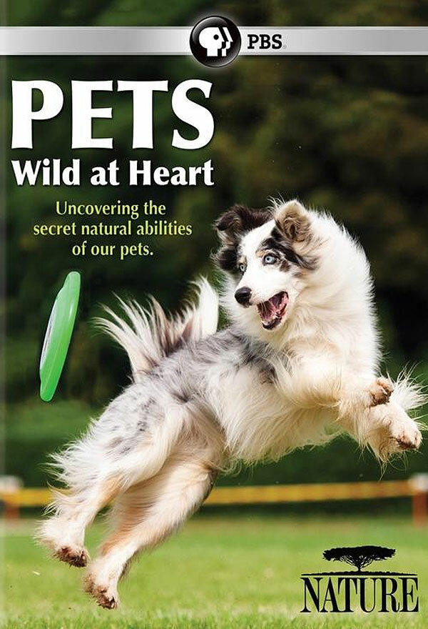 Pets: Wild at Heart (2015) постер