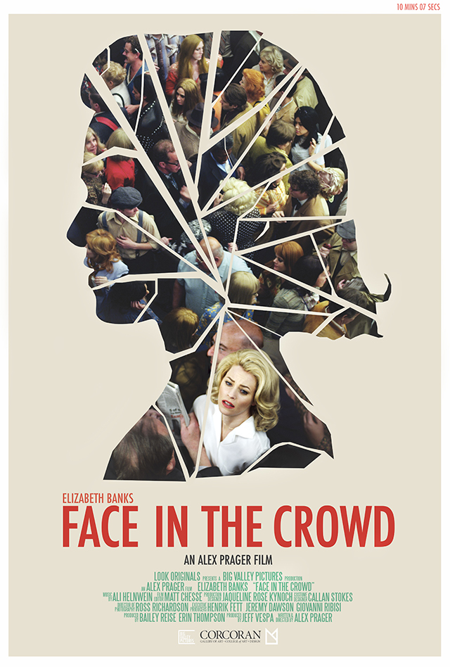 Face in the Crowd (2013) постер