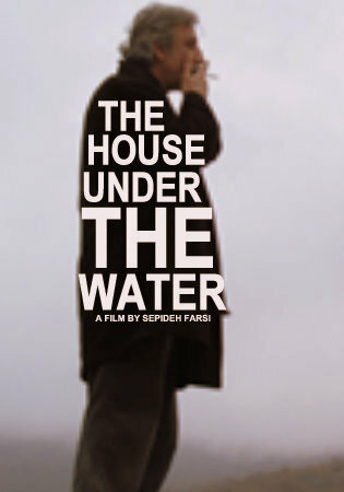Дом под водой (2010) постер