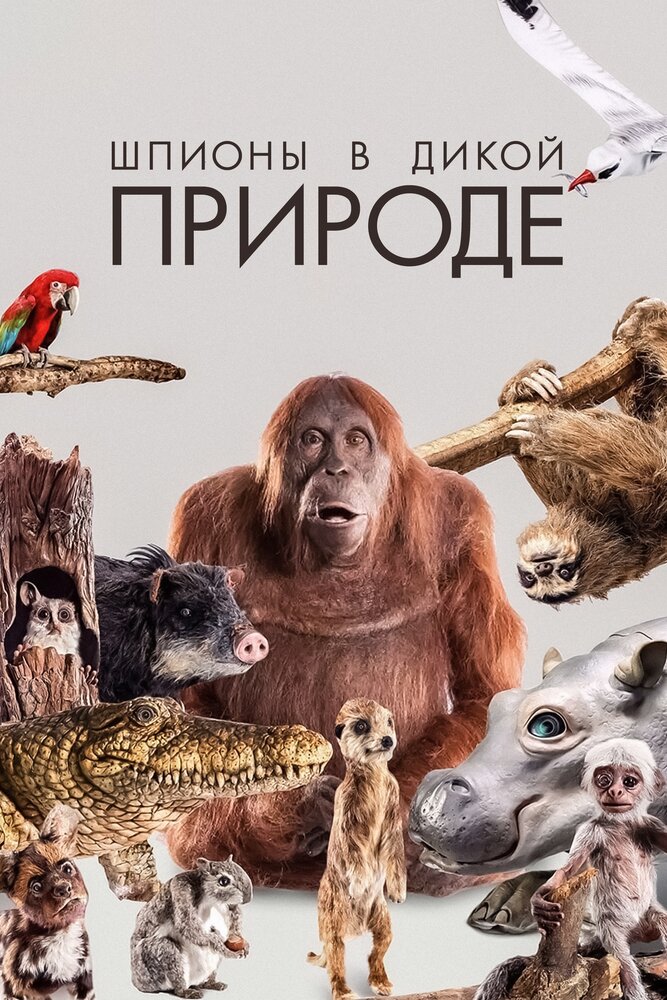 Шпионы в дикой природе (2017) постер
