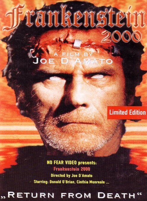 Франкенштейн 2000 (1991) постер