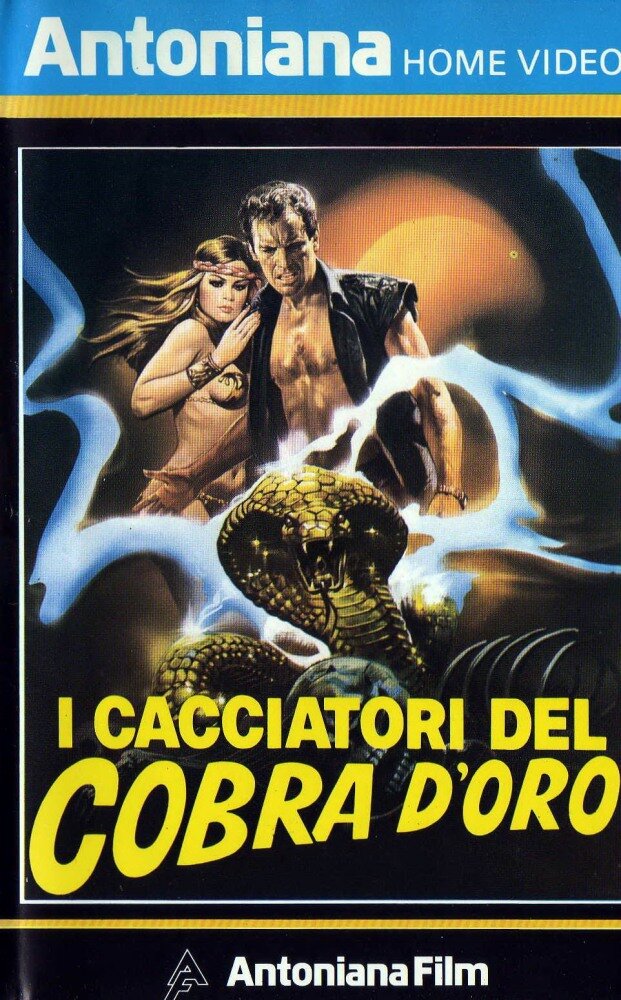 Охотники за золотой коброй (1982) постер
