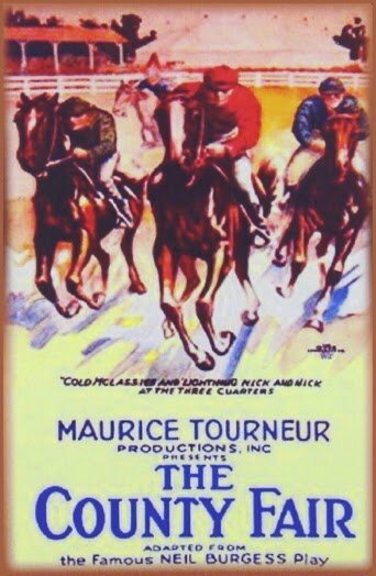 The County Fair (1920) постер