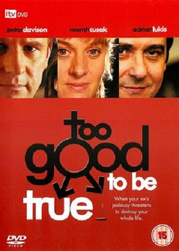 Too Good to Be True (2003) постер