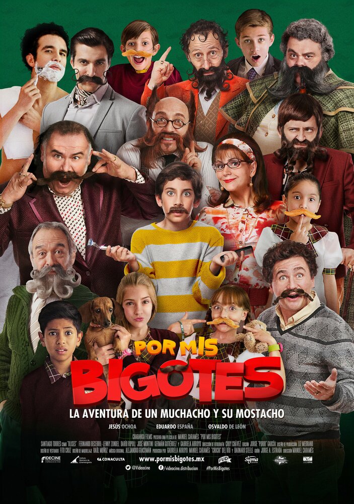 Por mis bigotes (2015) постер