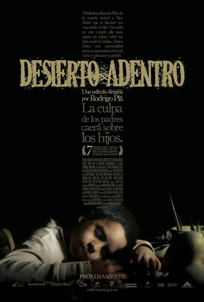 В пустыне (2008) постер
