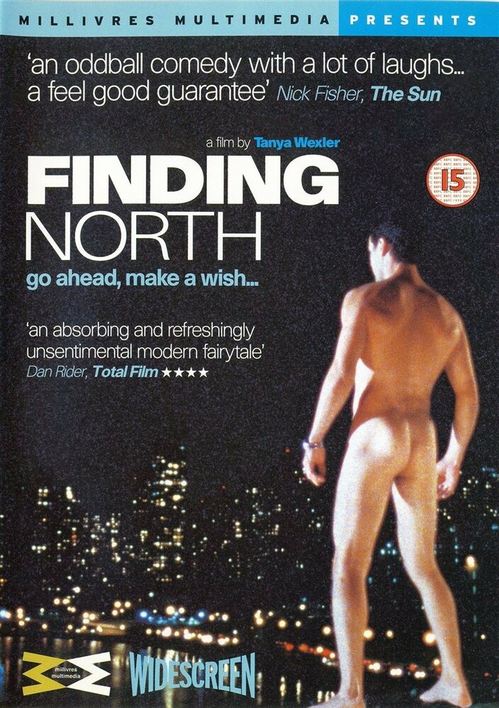 В поисках севера (1998) постер