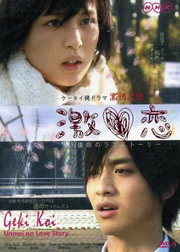 Роковая история любви (2010) постер
