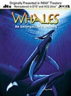 Whales: An Unforgettable Journey (1997) постер