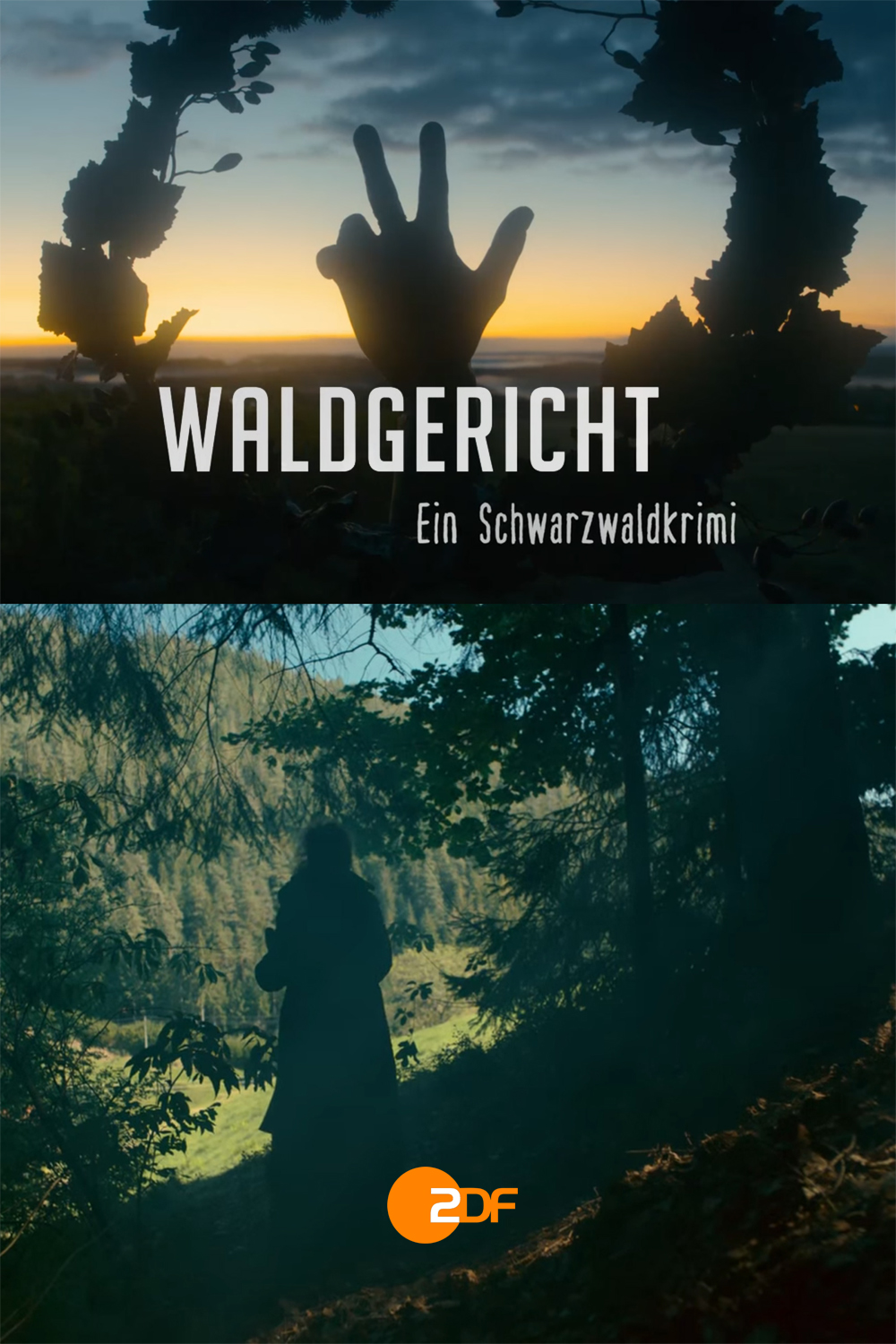 Waldgericht - ein Schwarzwaldkrimi (2021) постер
