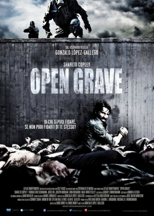 Открытая могила (2013) постер