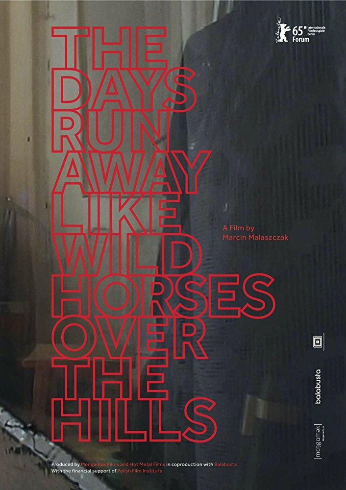 The Days Run Away Like Wild Horses Over the Hills (2015) постер
