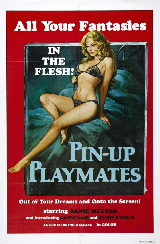 Юные массажистки (1972) постер
