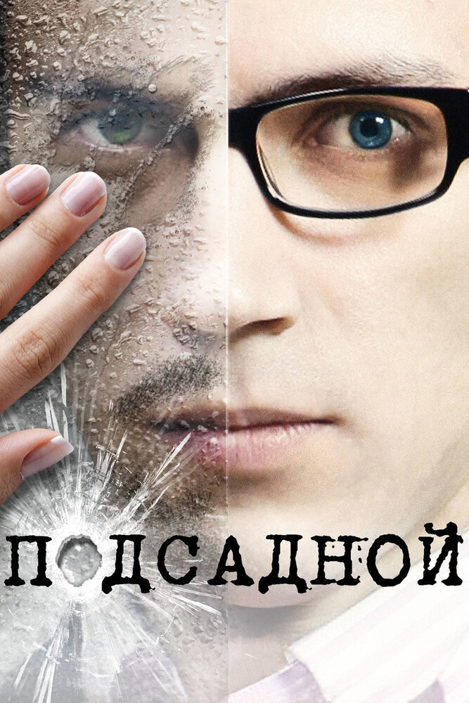 Подсадной (2010) постер