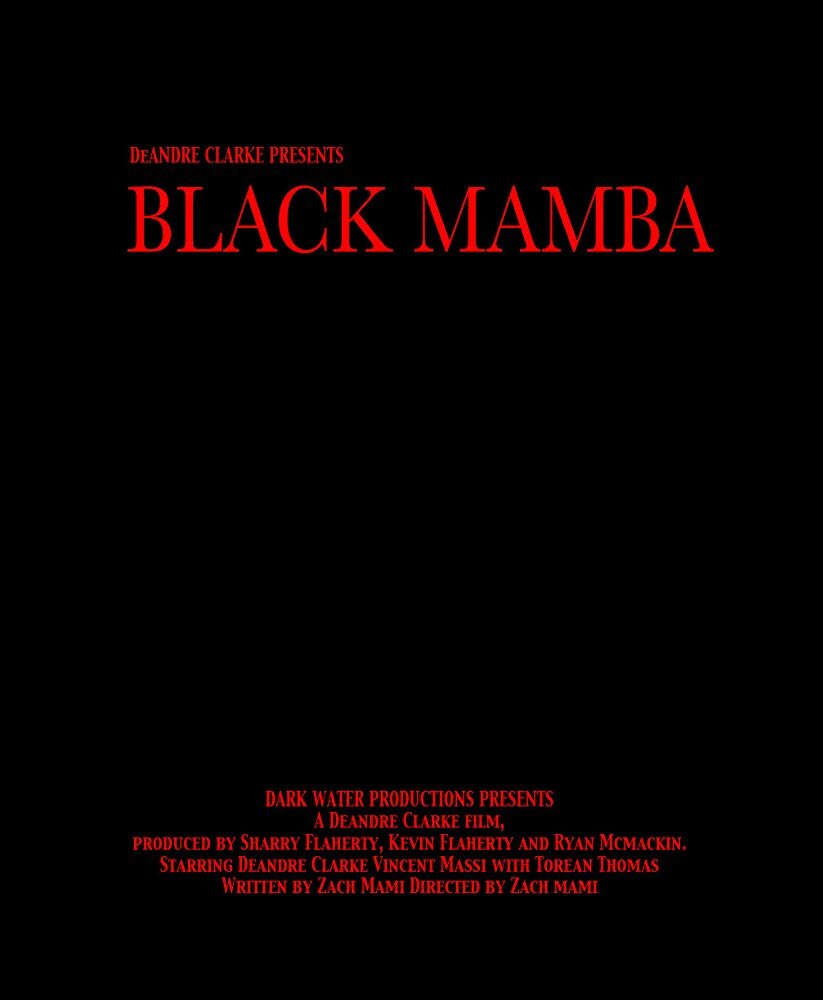 Черная Мамба (2011) постер