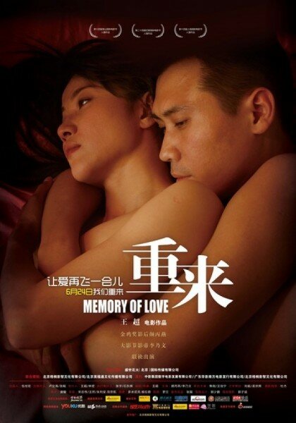 Память любви (2009) постер