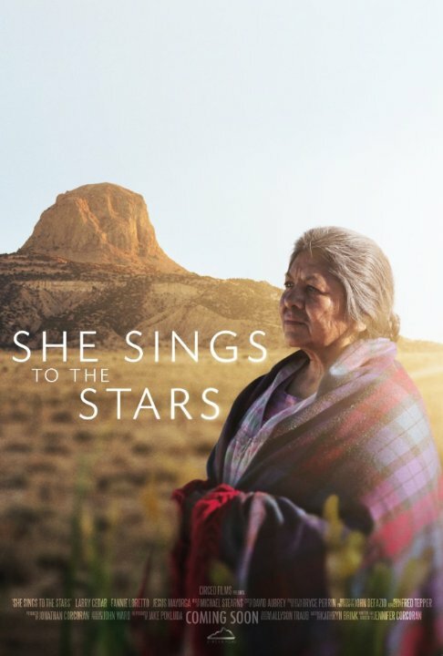 She Sings to the Stars (2015) постер
