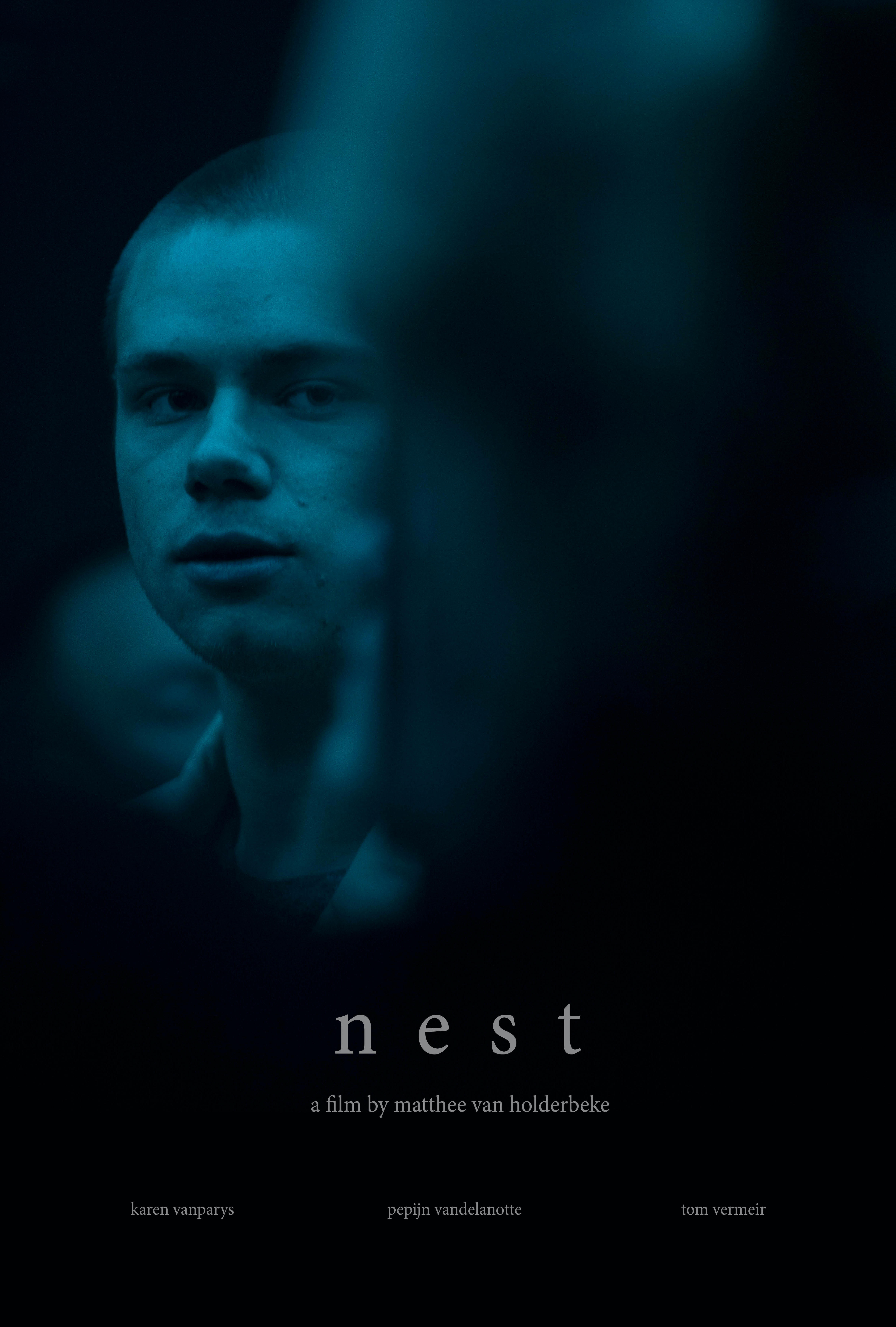 Nest (2021) постер
