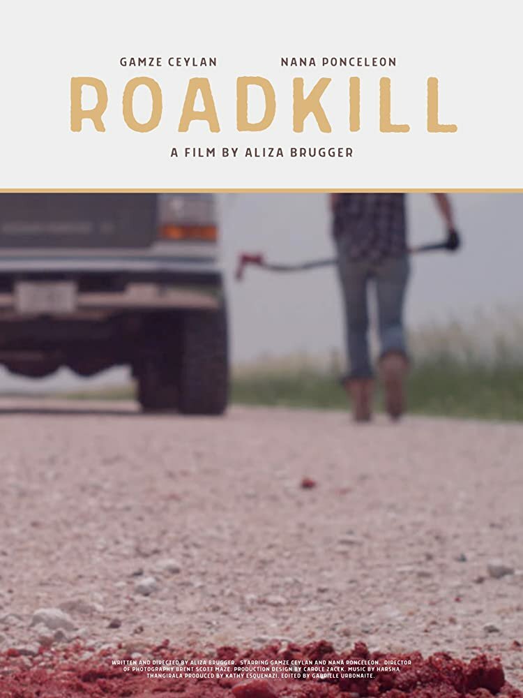 Roadkill (2020) постер